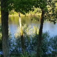 A view of the Grand River with a path below and an island in the water